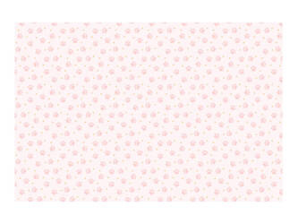 Obrus papierowy - Łapki - 180 x 120cm - 1 szt.