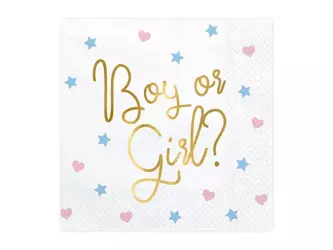 Serwetki papierowe - Boy or Girl ? - 33x33cm - 20 sztuk